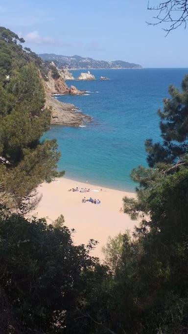 Alegre Apto Con Piscina, A 300M De La Playa. Blanes Eksteriør billede